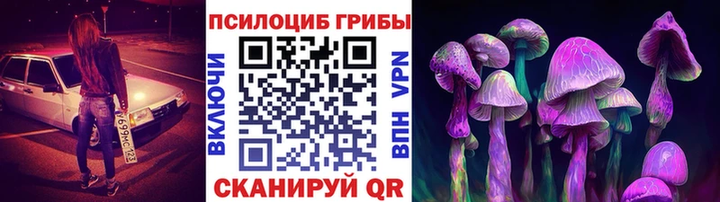 Галлюциногенные грибы Psilocybine cubensis  купить наркотик  Новокубанск 